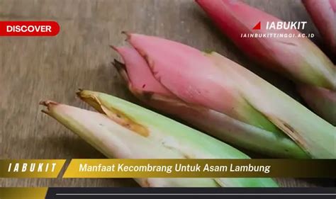 Ketahui 7 Manfaat Kecombrang Untuk Asam Lambung Yang Wajib Kamu Intip