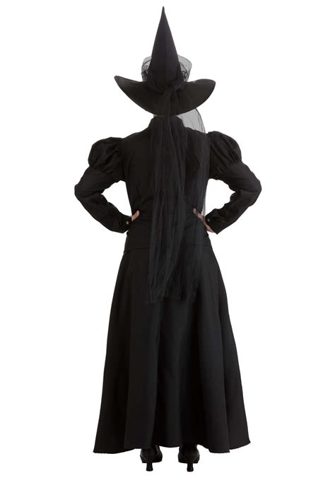 Women S Deluxe Witch Costume Wicked Witch Costume Exclusive