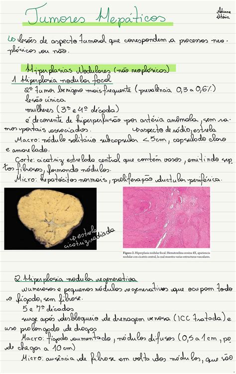 Solution Tumores Hep Ticos Studypool