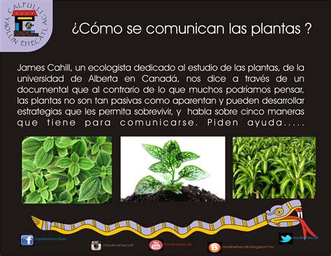 Como Se Comunican Las Plantas Wikipedia Telegraph