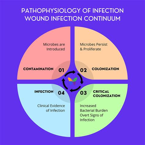 Wound Infection Continuum