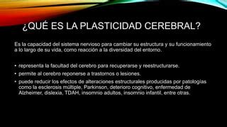 Plasticidad Cerebral Manuel Ortega Ppt