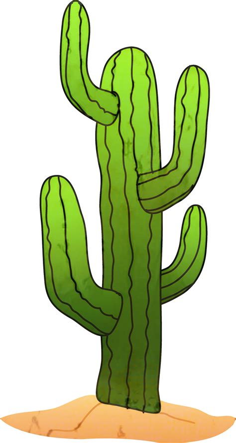 Cactus Clip art Saguaro Portable Network Graphics Image - png download ...