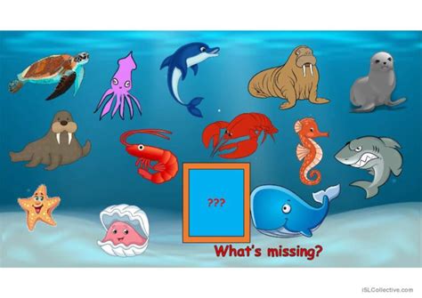 Missing Game Marine Life English Esl Powerpoints