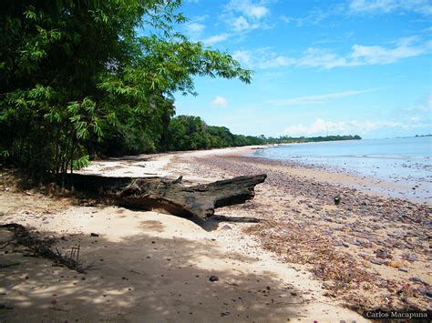 Marahu Ilha de Mosqueiro Belém do Pará Praia de água d Flickr