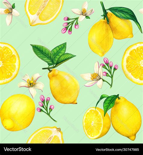 High Quality Lemon Watercolor Seamless Pattern Vector Image