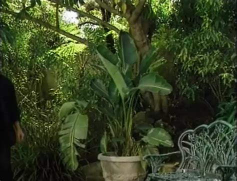 Intimate Buss Parte 02 Free Porn Video 2c XHamster