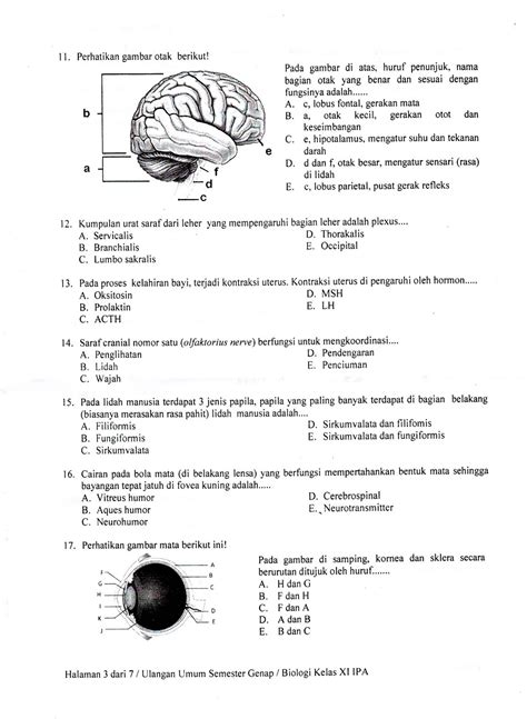 BIOLOGI GONZAGA UJIAN BIOLOGI KELAS XI SEMESTER GENAP