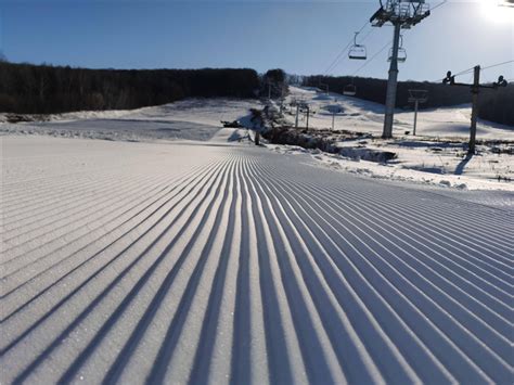 2025哈尔滨帽儿山滑雪场介绍营业时间项目攻略门票团购大河票务网