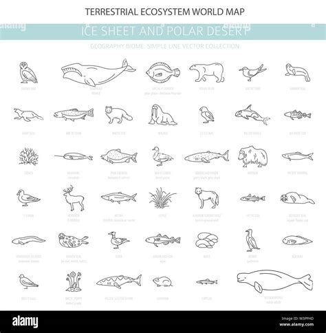 Las Capas De Hielo Y Desierto Polar Bioma Estilo De L Nea Simple El