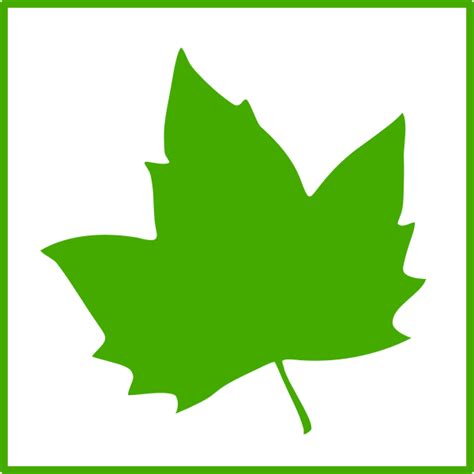 Eco Leaf Vector Icon Free Svg