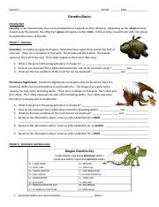 Genetics Pogil Docx Name S Period Date Genetics Basics