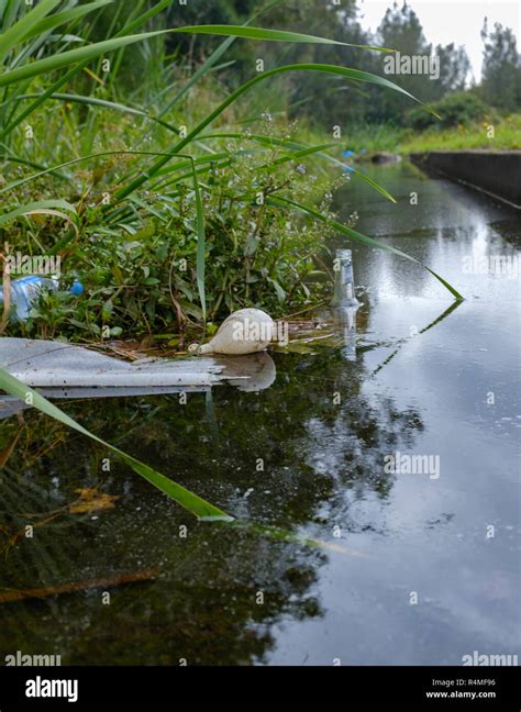 Litter And Plastic Discarded In Open Water Way Old Party Balloon Coke