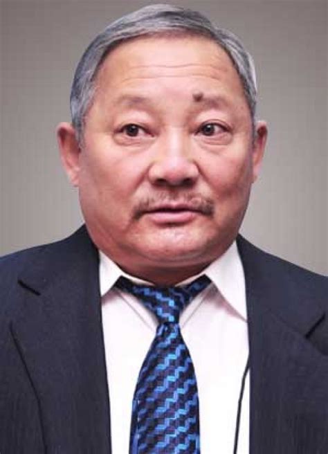 Дамба.Д