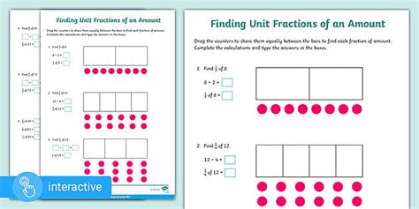 Y White Rose Supporting Fractions Of Amounts Y Revision