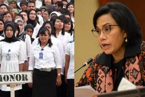 Akhirnya Honorer Siap Diangkat Jadi Asn Sri Mulyani Ungkap Gaji