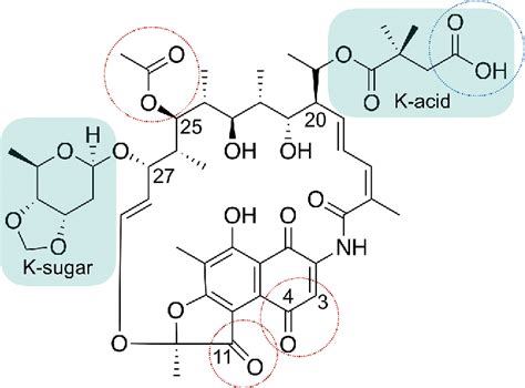 Figure From Synthesis And Evaluation Of Dual Action Kanglemycin