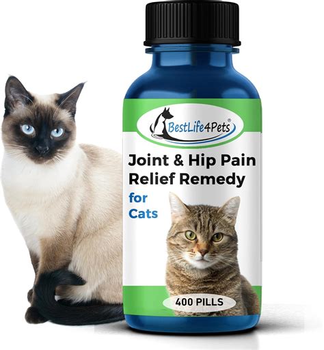 BestLife4Pets Cat Hip and Joint Supplement - Relief from Pain