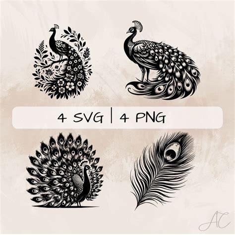 Peacock SVG Bundle Peacock Feather PNG Floral Peacock Clipart Hand