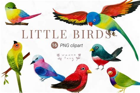 Watercolor Bird Clipart, PNG