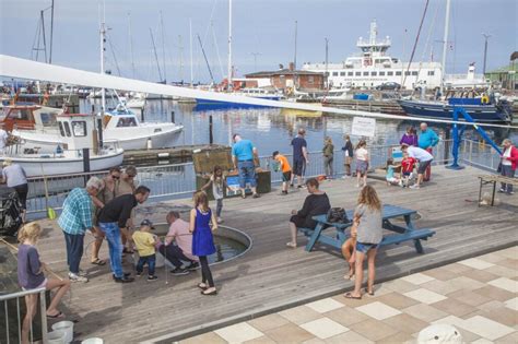 Bedre parkeringsforhold på Hundested Havn Hundested Havn