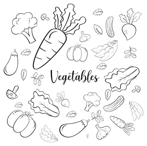 Dibujos De Vegetales Para Colorear Vsun