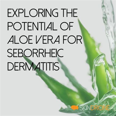 Exploring the Potential of Aloe Vera for Seborrheic Dermatitis – SkinDrone