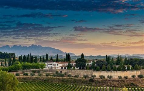 Juve Camps se incorpora a la Fundación Para la Cultura del Vino FCV