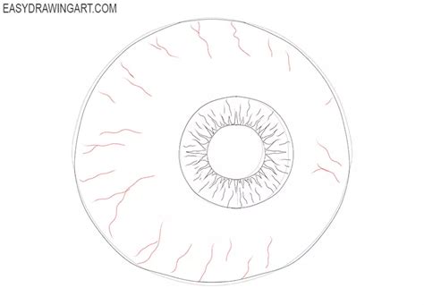 How to Draw an Eyeball - Easy Drawing Art