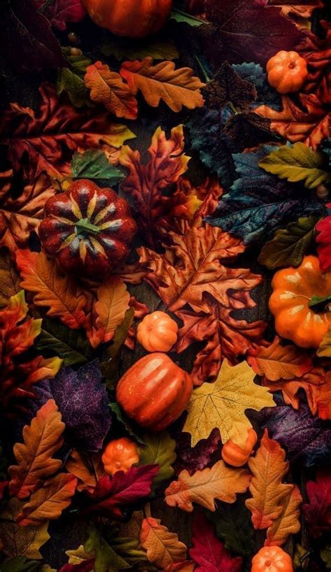 45 Cute Thanksgiving Wallpaper Options For A Cozy Season In 2023