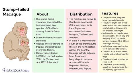 Stump-tailed Macaque - IAS EXAM