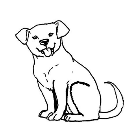 Coloriage Chien à Colorier Dessin Gratuit à Imprimer