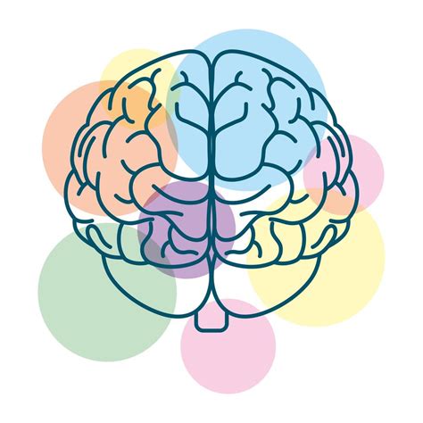 cerebro humano con círculos de colores 1890153 Vector en Vecteezy