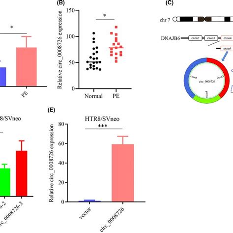 Circ 0008726 Was Highly Expressed In The Tissues And Blood Of PE A