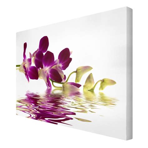 Pink Orchid Waters Leinwandbild Im Querformat Bilderwelten Rosa