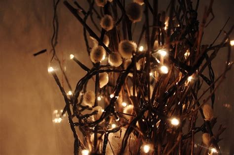 Premium Photo Close Up Illuminated String Lights On Pussy Willow At Night