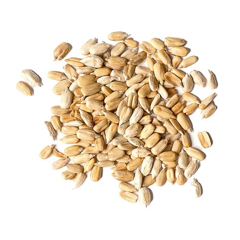 Sunflower Seeds PNG Images Transparent Background | PNG Play