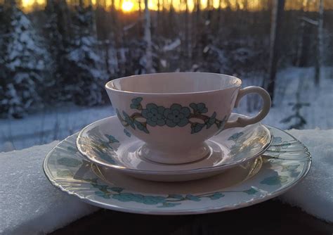 Arabia Morsian Coffee Cup And Saucer And Side Plate Esteri Etsy