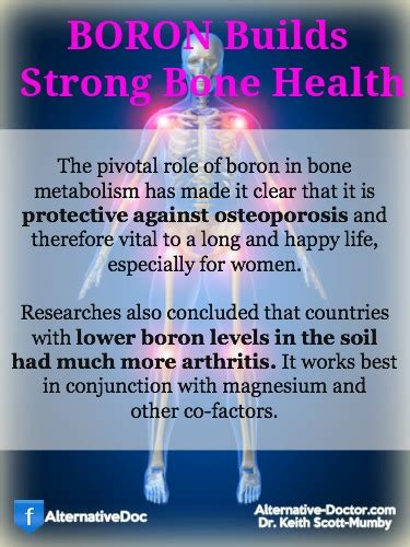 Boron Uses For Strong Bone Health