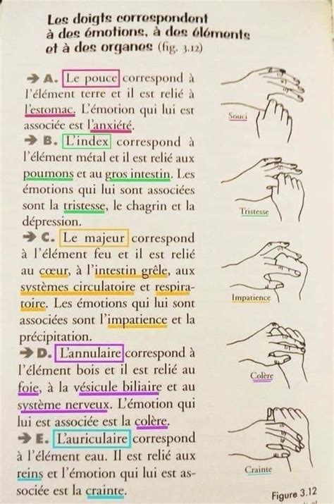 Le Mal A Dit Psychology Love Personality Psychology Health