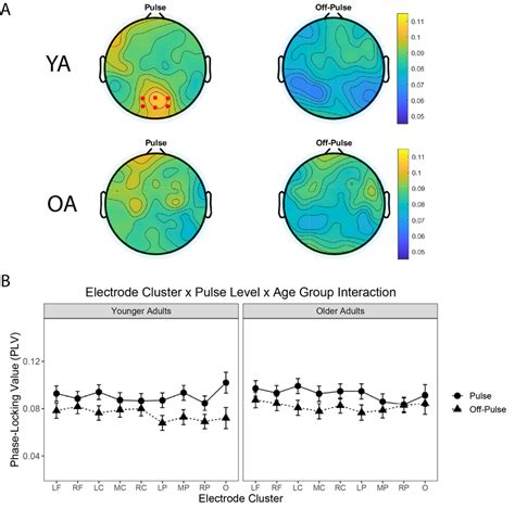 Neural Entrainment Interacts With Electrode Cluster And Age Group A