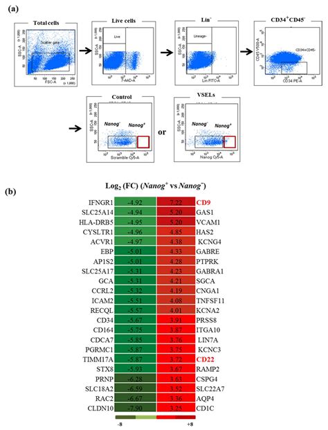 Differential Expression Of The Tetraspanin CD9 In Normal And Leukemic