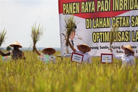 Launching Implementasi Kartu Petani Berjaya Gubernur Arinal Berharap