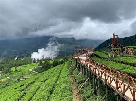 Healing Di Kebun Teh Wayang Windu Panenjoan Menikmati Suasana Bandung