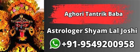 Aghori Tantrik Baba - Astrologershyamlaljoshi - Medium