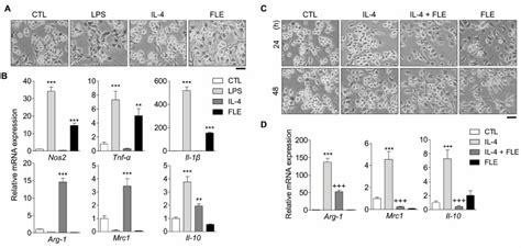 Mouse Recombinant Il Peprotech Bioz