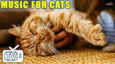 Relieve Anxiety Music For Cats Relaxing Music For Cats Music To Help