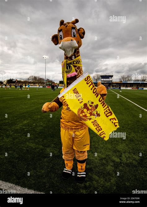 Sutton United Mascot Jenny The Giraffe Wearing A Face Mask Before The