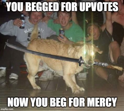 Dog with sword and glowing eyes Latest Memes - Imgflip