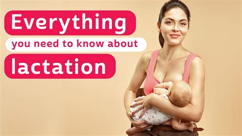 Everything You Need To Know About Lactation YouTube